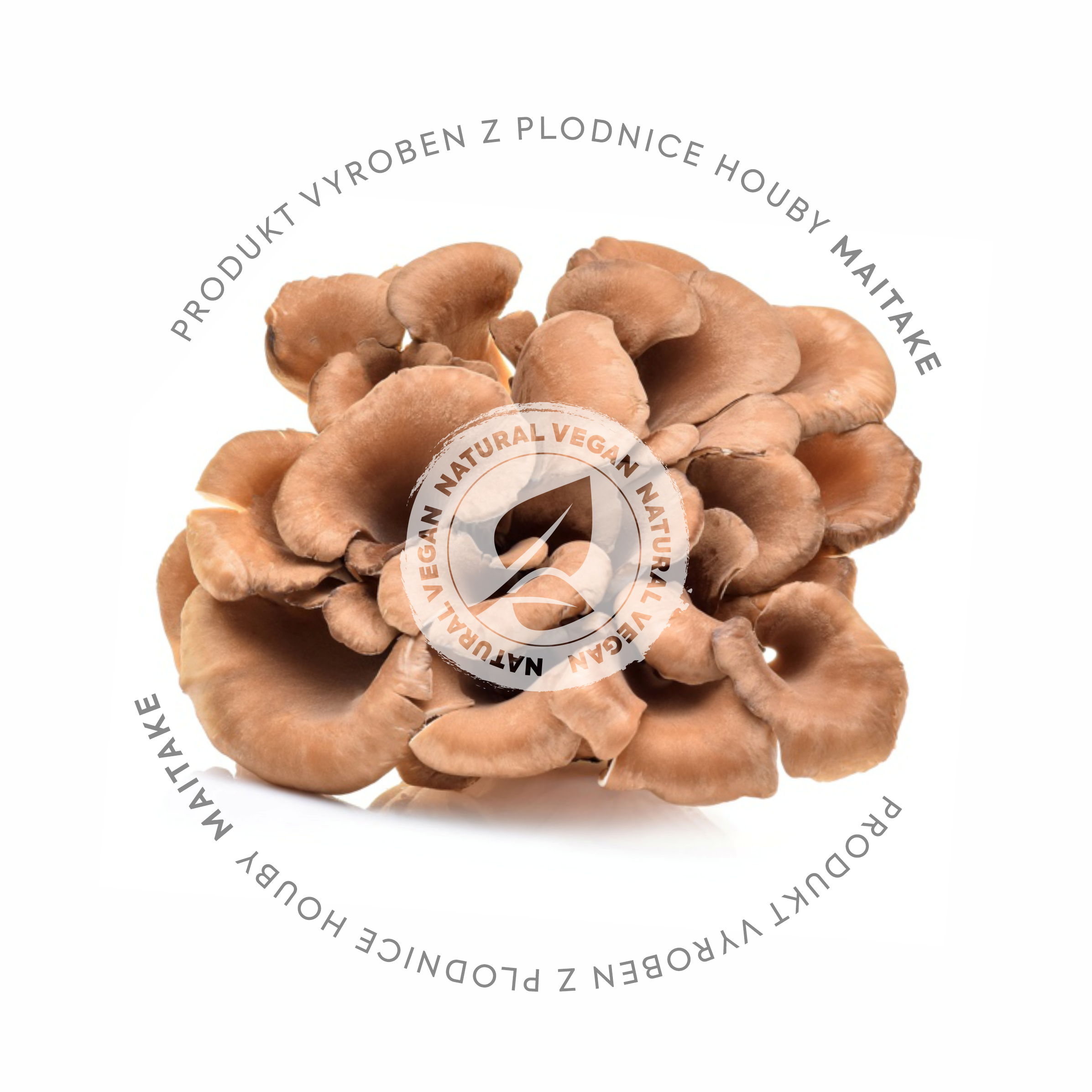 MAITAKE EXTRAKT 90 KAPSLÍ 500 mg 